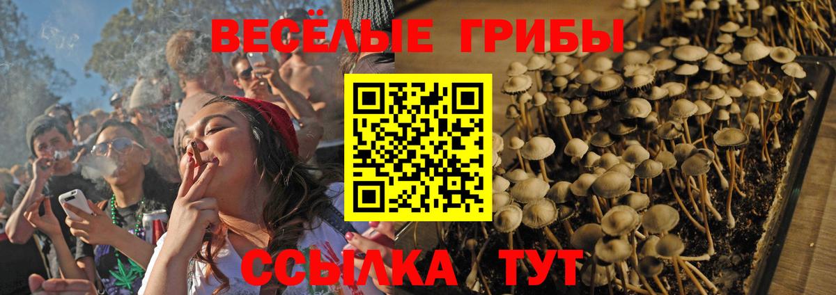 Псилоцибиновые грибы GOLDEN TEACHER  Галлюциногенные грибы GOLDEN TEACHER  наркотики  Вход с VPN  Холмск 