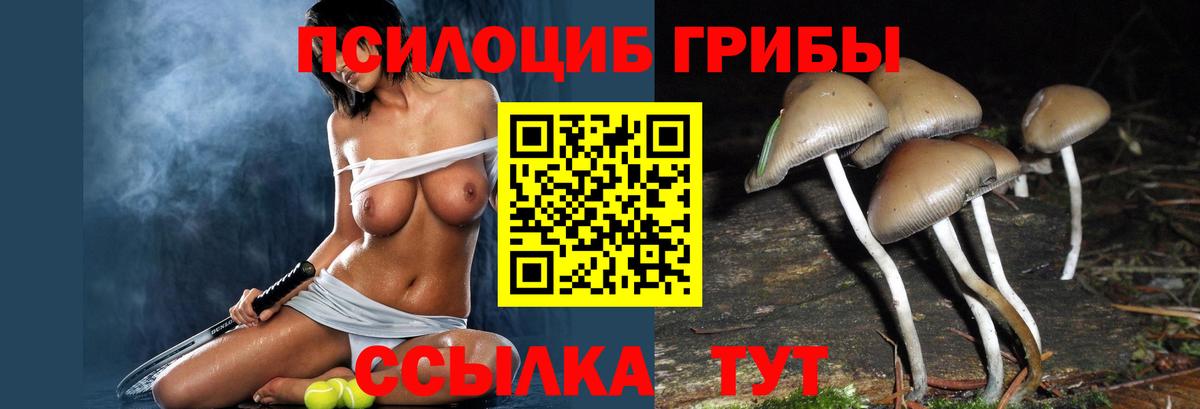 Галлюциногенные грибы Magic Shrooms Холмск